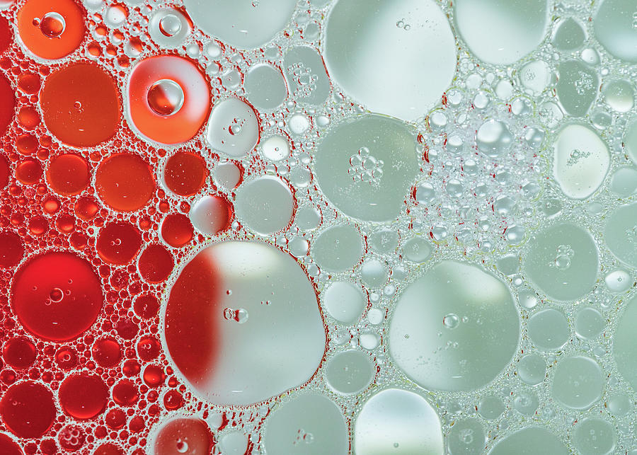 Abstract Photography - Red and Green Photograph by Amelia Pearn