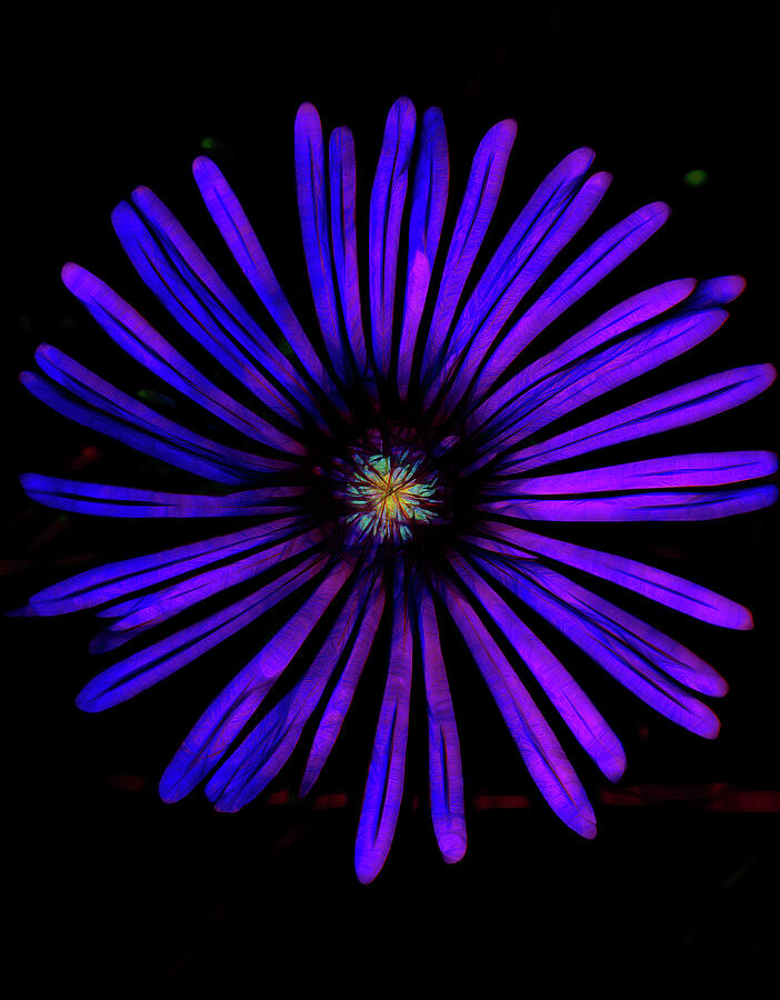 Abstract Purple Flower Photograph by Roberta Byram Abstract Purple Flower Photograph by Roberta Byram