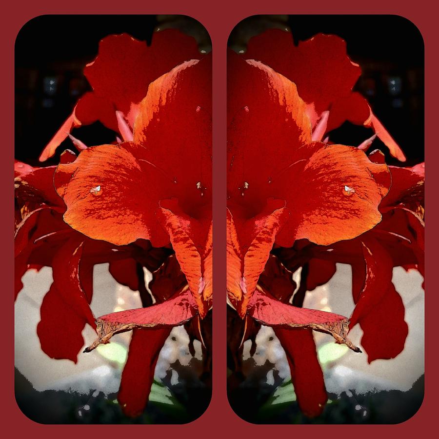 Abstract Red Flower Collage Digital Art by Loraine Yaffe - Pixels