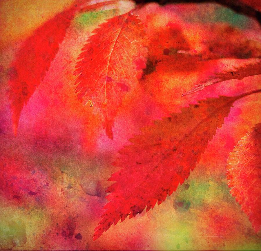 Nature Digital Art - Abstract Red Leaves Two by Mo Barton