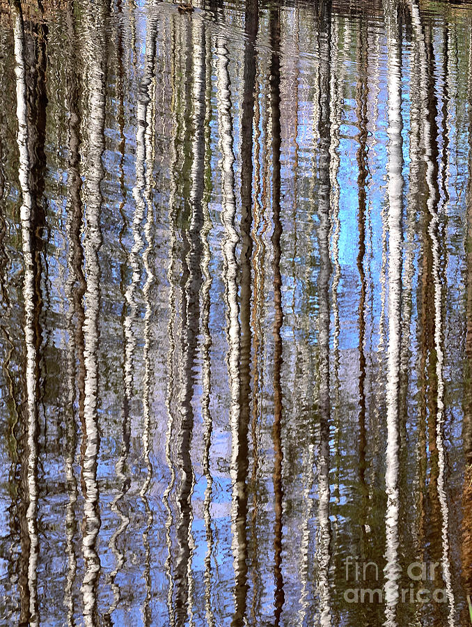 Abstract reflections Photograph by Tatiana Bogracheva