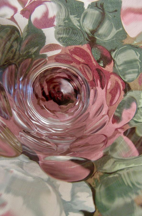 Abstract Rose Photograph by Stephanie Moore