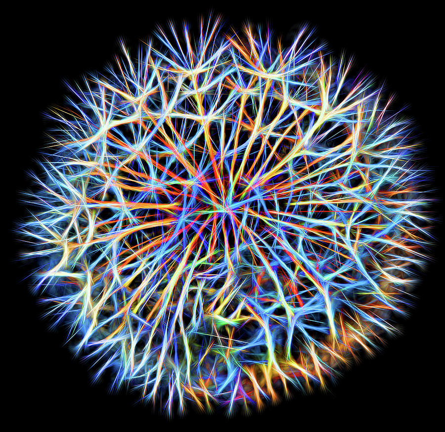 Abstract Round Dandelion Head. Digital Art by Roy Pedersen