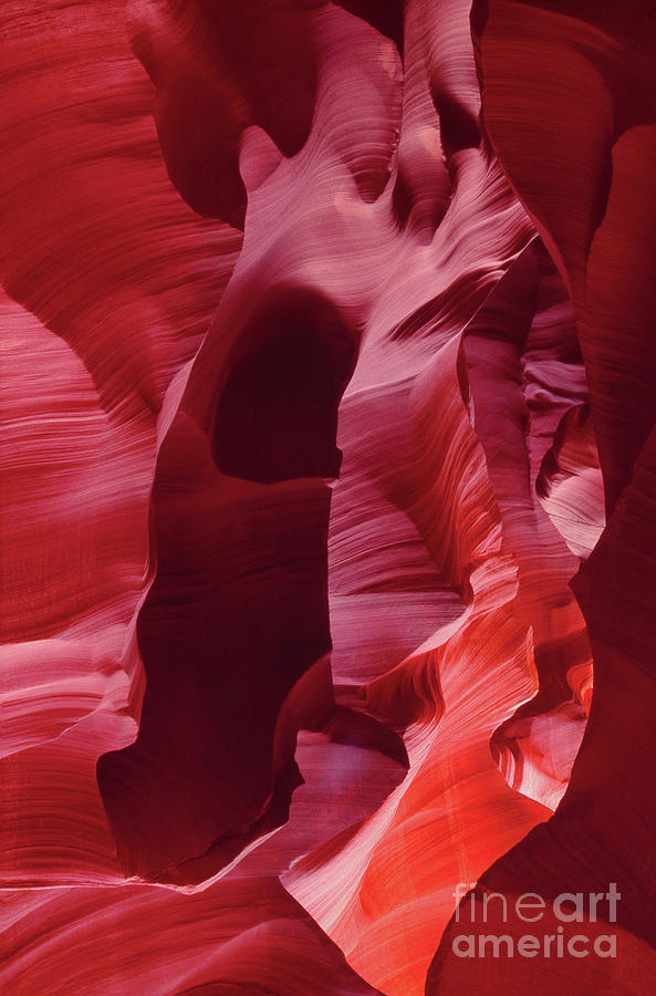 Abstract Sandstone Detail Lower Antelope Slot Canyon Arizona Photograph by Dave Welling