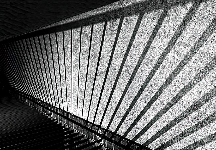 Abstract Shadows Photograph by Peter Smejkal - Fine Art America