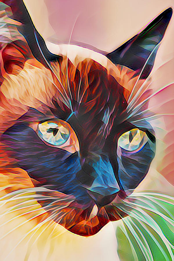 Abstract Siamese Cat Face Photograph by Her Arts Desire