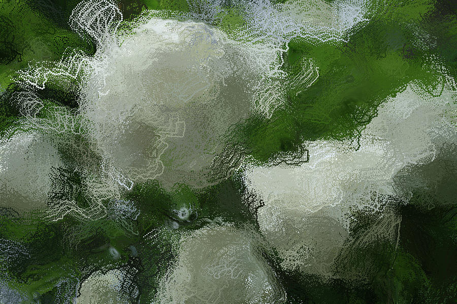 Abstract Snowball Flowers Digital Art