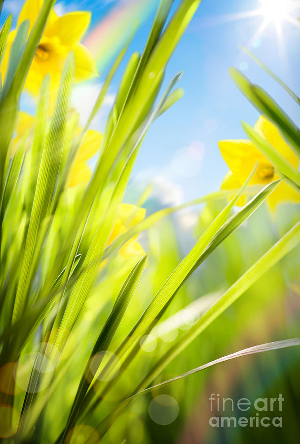 Abstract Spring Background Photograph by Boon Mee
