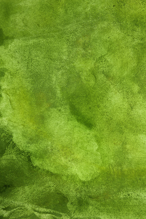 Abstract spring background in green Photograph by Sergeeva