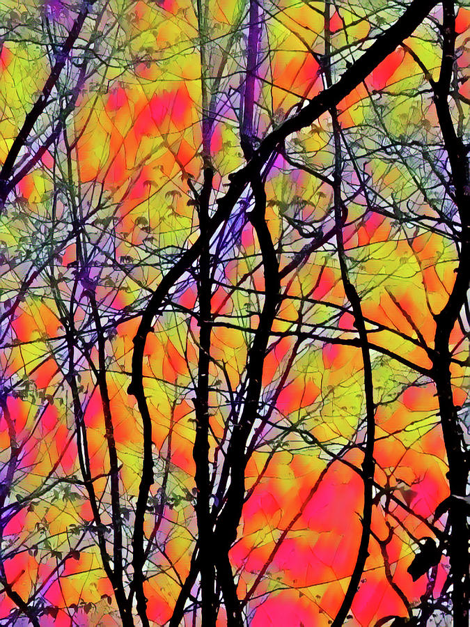 Abstract Stained Glass Forest Mixed Media by Sharon Williams Eng