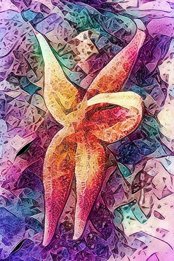 Abstract Starfish Photograph by Her Arts Desire