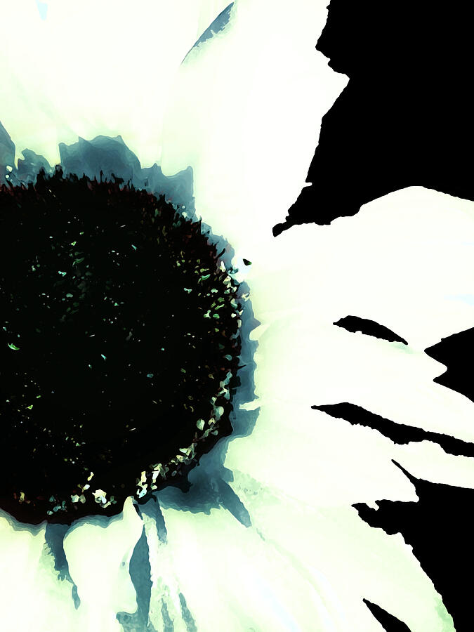 Abstract Sunflower On Black Painting