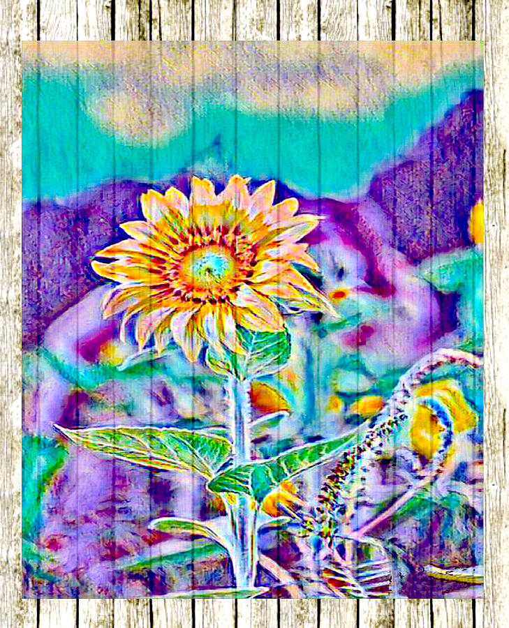Abstract Sunflower Digital Art by Steven Parker