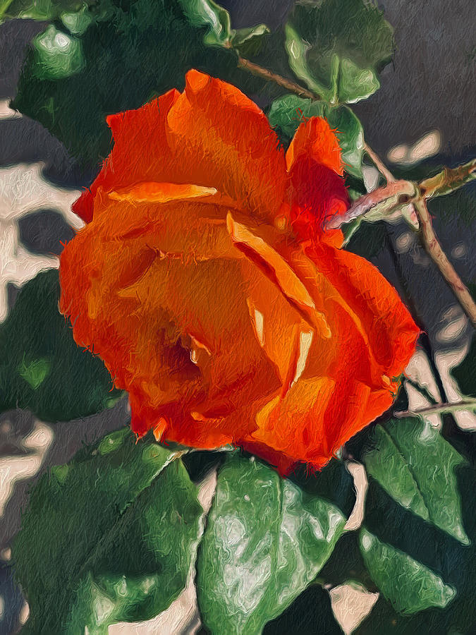 Abstract Tangerine Rose Digital Art by Kathleen Boyles