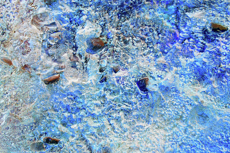 Abstract Texture 8a Photograph by Mike McGlothlen
