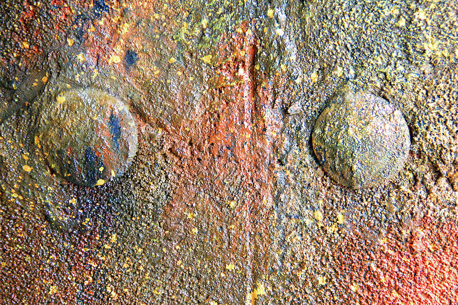 Abstract Textures 43 Photograph by Mike McGlothlen