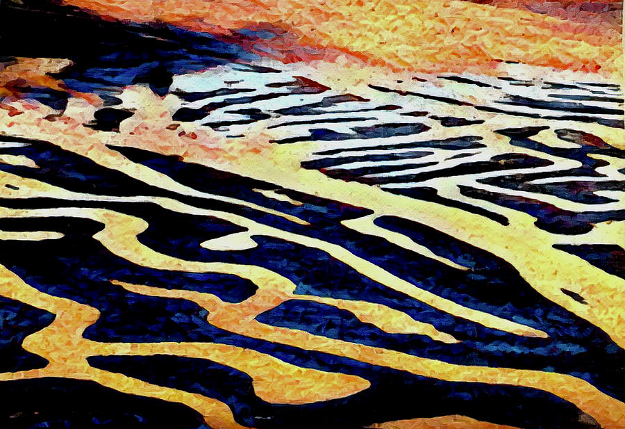 Abstract tidal patterns at low tide in a lagoon Photograph by Debra Amerson