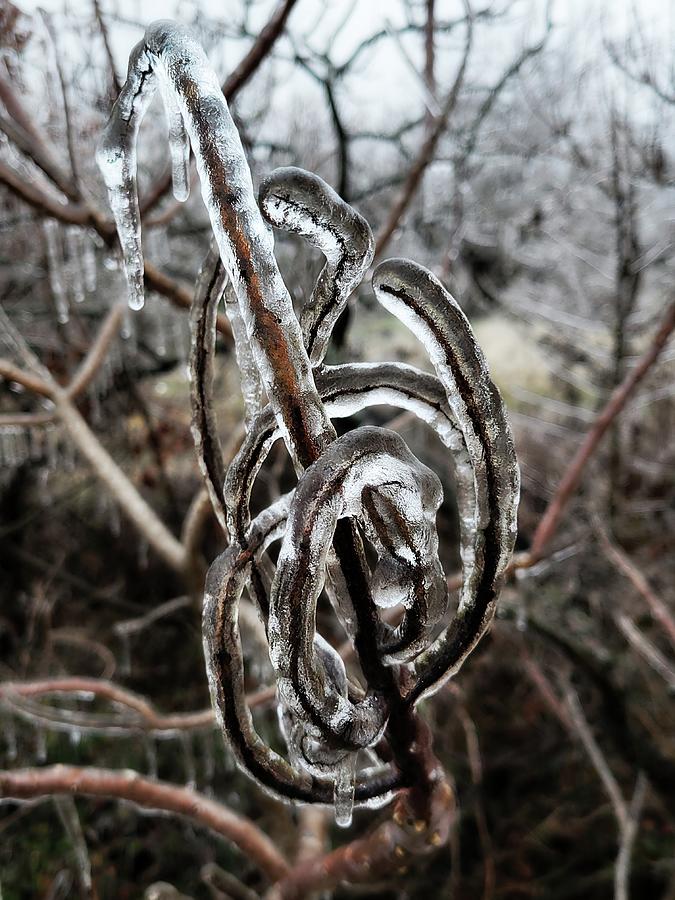 Abstract Treble Clef in Ice Photograph by Ally White