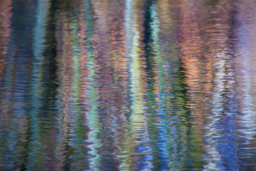 Abstract Photograph - Abstract Tree Reflections by Karol Livote