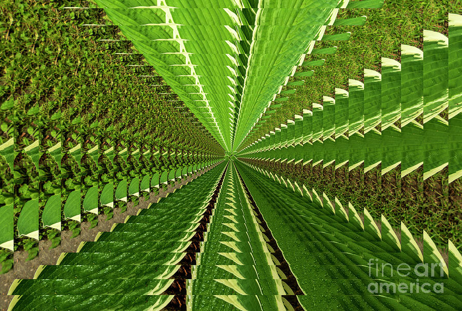 Abstract Tunnel of Green Colors Photograph by Sandra Js
