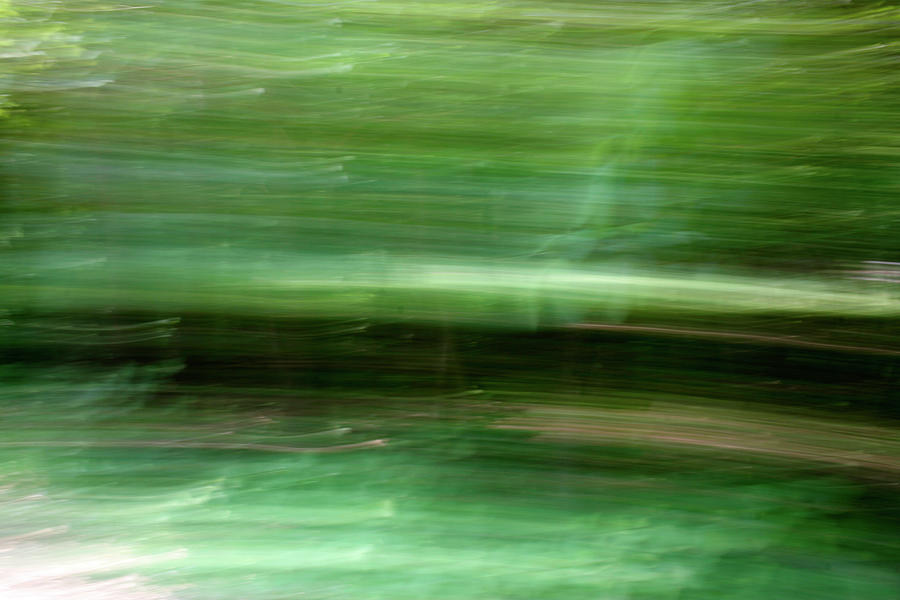 Abstract Two in Green - May 2023 Photograph by Joseph A Langley