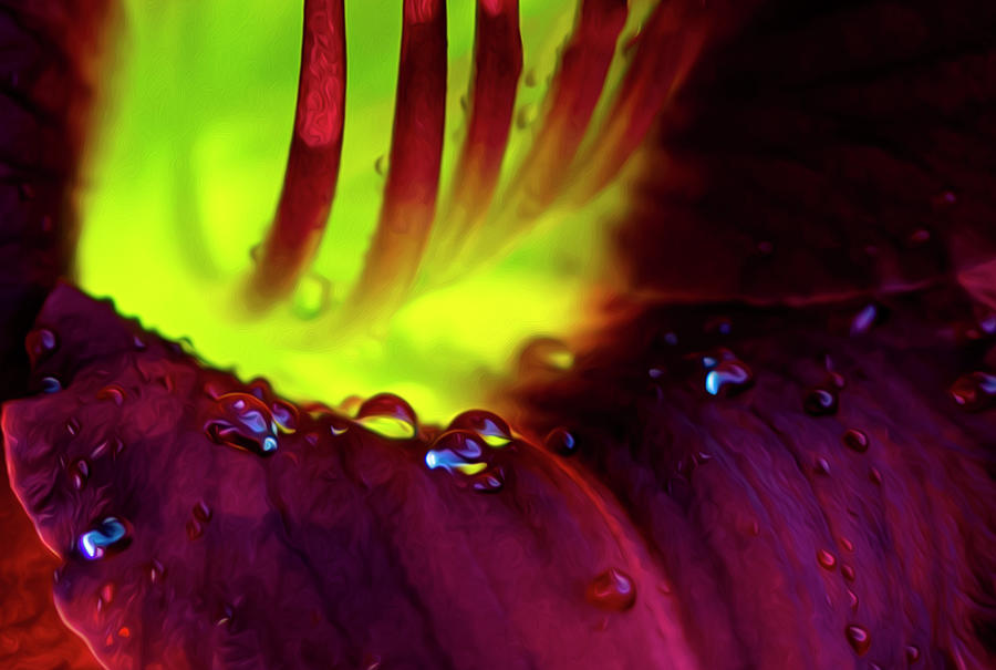 Abstract Vibrant Colors of a Flower Photograph by Sandra Js