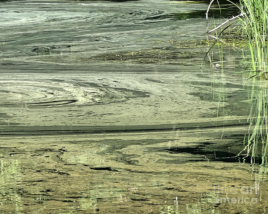 Abstract Water Photograph