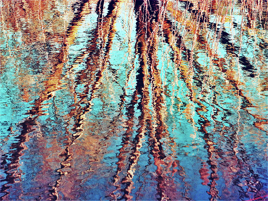 Abstract Water Reflections of Trees Photograph by Kathrin Poersch