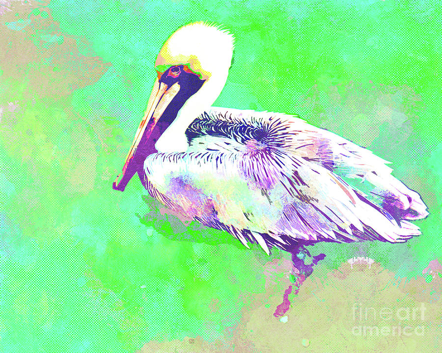 Abstract Watercolor - Florida Pelican Mixed Media by Chris Andruskiewicz