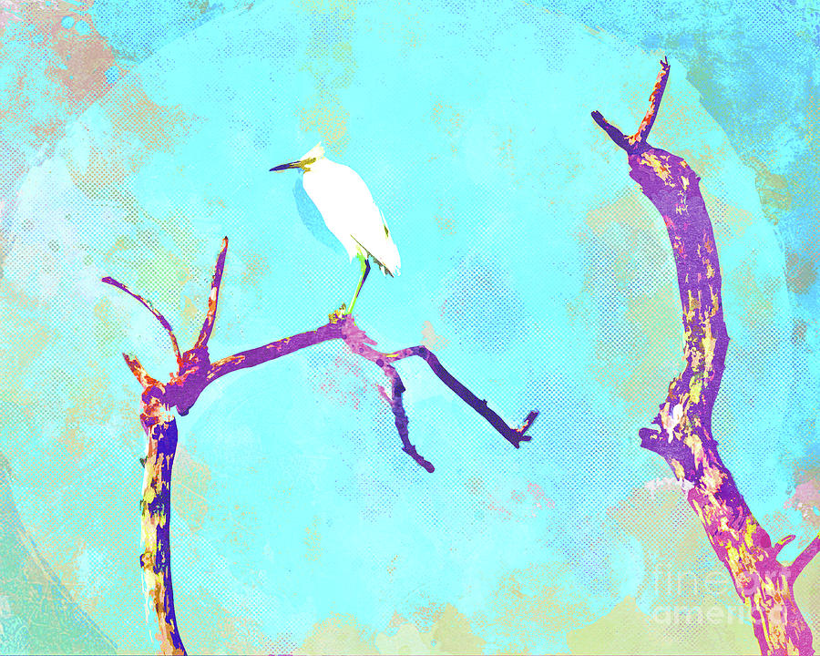 Abstract Watercolor - Grumpy Egret I Mixed Media by Chris Andruskiewicz