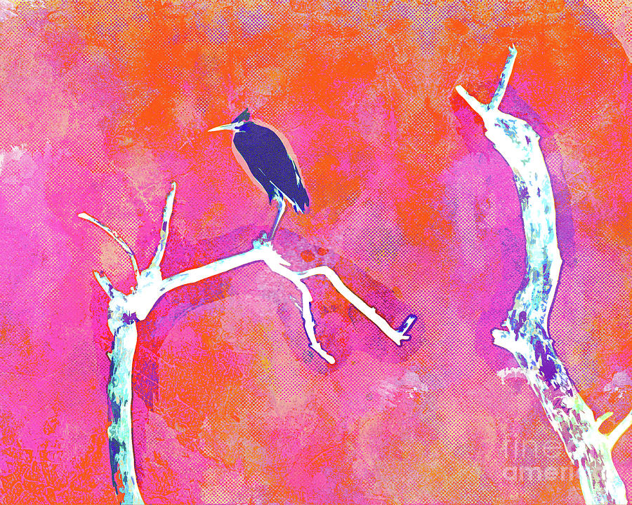 Abstract Watercolor - Grumpy Egret II Mixed Media by Chris Andruskiewicz