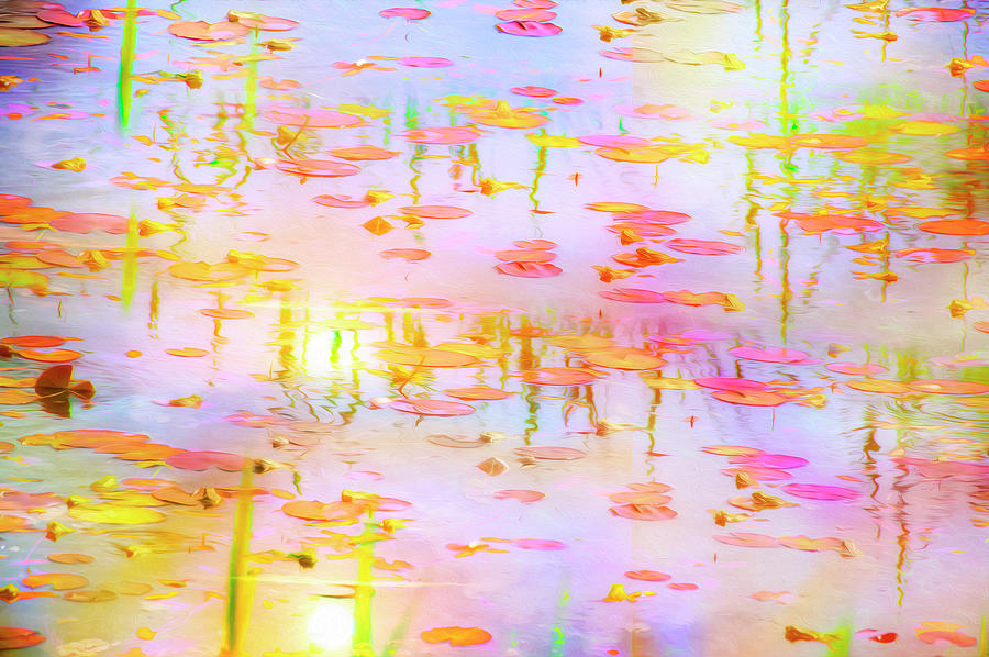 Impressionism Photograph - Abstract Waterlilies 2 by Mary Mansey