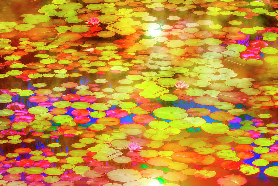 Claude Monet Photograph - Abstract Waterlilies 4 by Mary Mansey