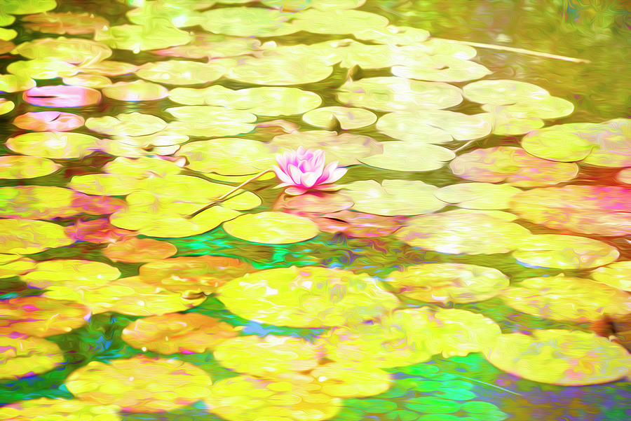 Claude Monet Photograph - Abstract Waterlilies 6 by Mary Mansey