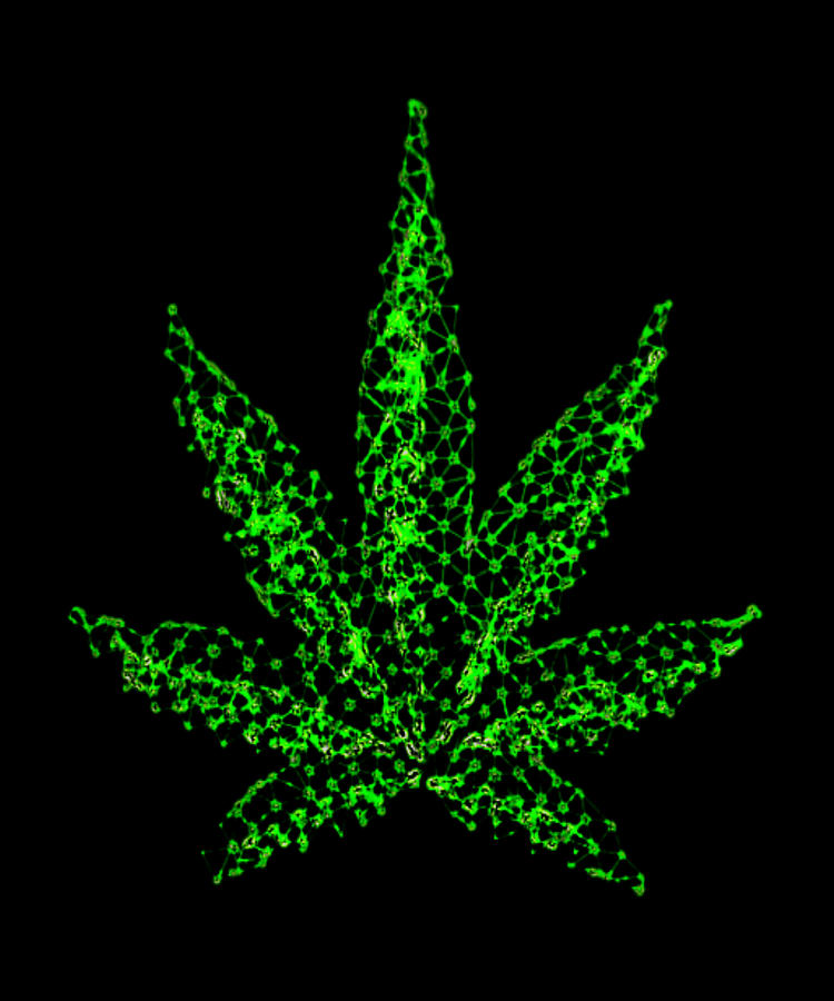 Abstract Weed Leaf Digital Art By Calnyto Pixels