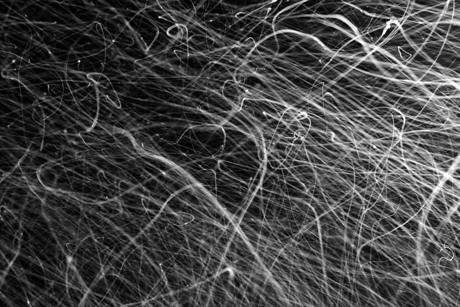 Abstract White Chaos Lines On Black Digital Art by Mikhail Kokhanchikov