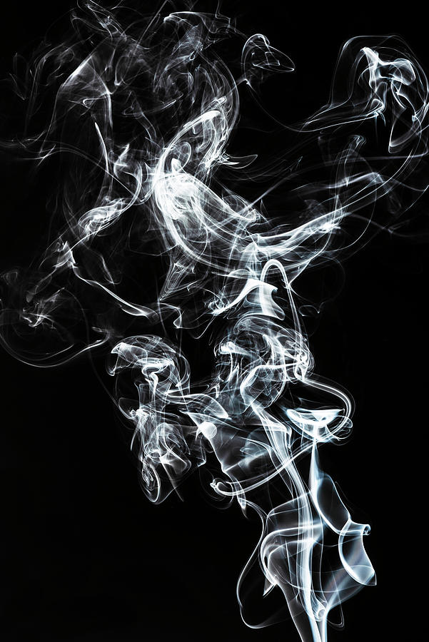 Abstract White Smoke - Horse Fever Photograph by Philippe HUGONNARD