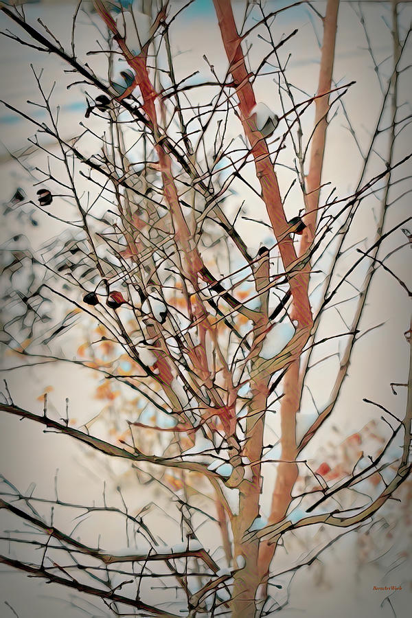Abstract Winter Tree Studio 2 Photograph by Roberta Byram