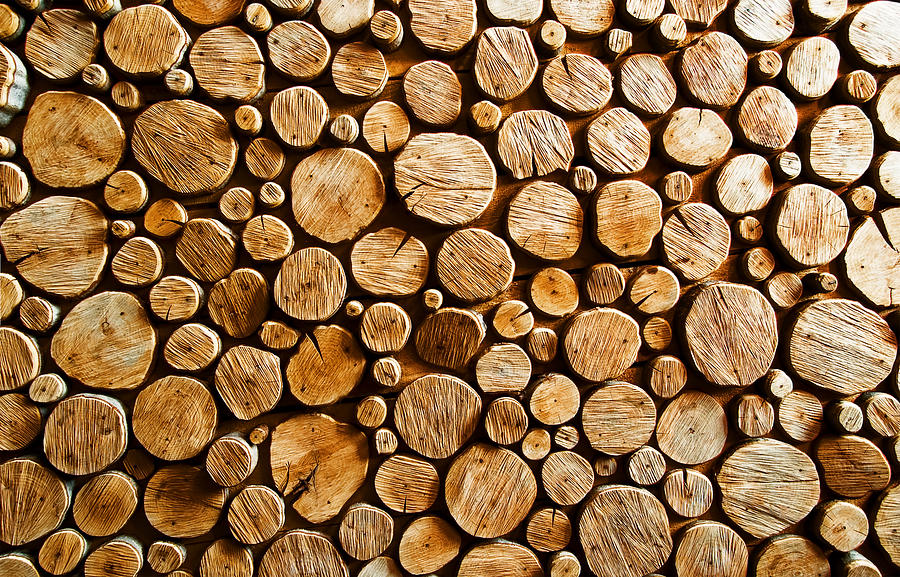 Abstract Wood Log Background Close-up Photograph
