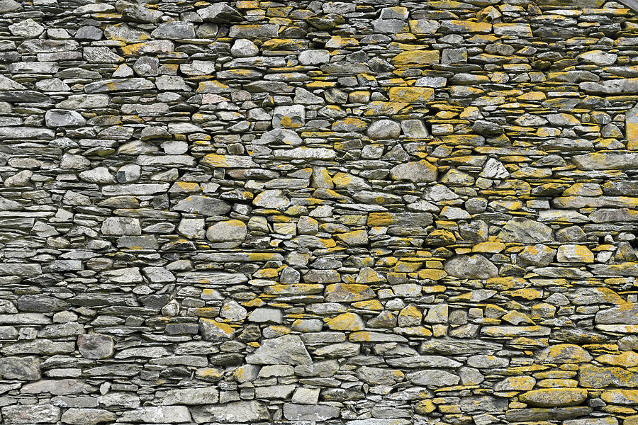 Abstract yellow lichen on drystone wall at Fell Foot Farm in Lit Photograph by Reimar Gaertner