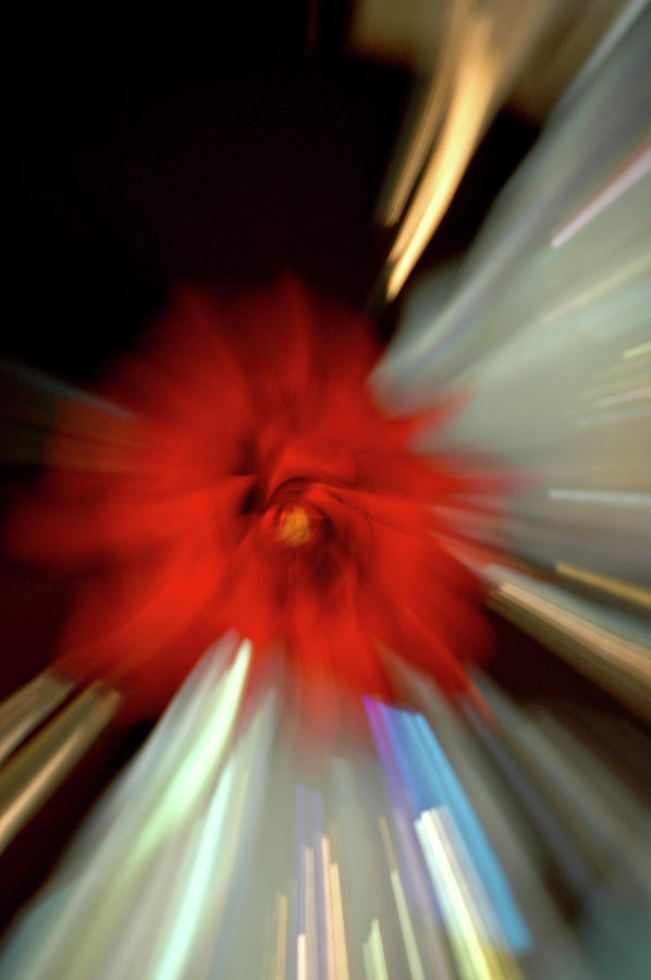 Abstract Zoom Rose Photograph by WAZgriffin Digital