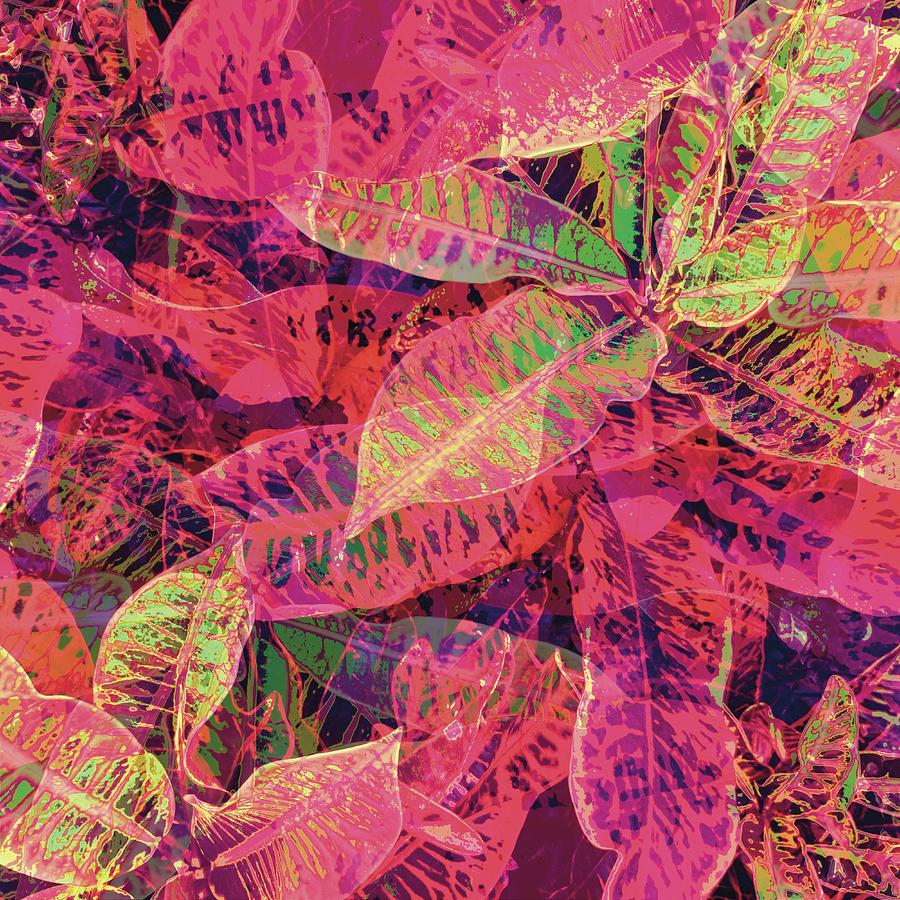 Abstracted Croton Photograph by Trixiloo