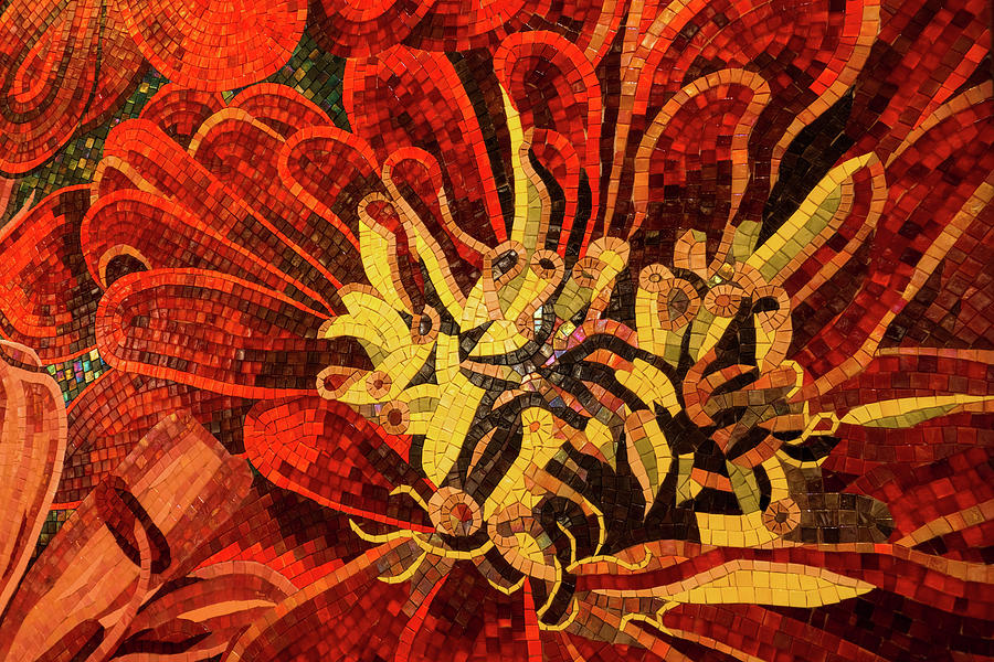 Abstracted Floral - Mesmeric Mosaic in Bold Reds and Yellows Photograph by Georgia Mizuleva