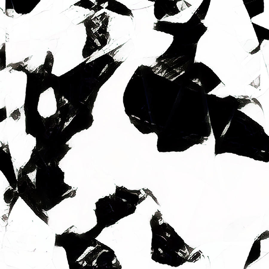 Abstraction Black and White 923 Digital Art by Cathy Anderson