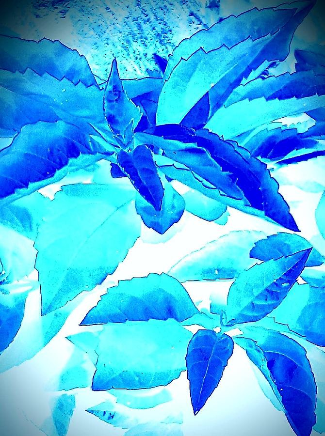 Abstraction in Blue Digital Art by Loraine Yaffe