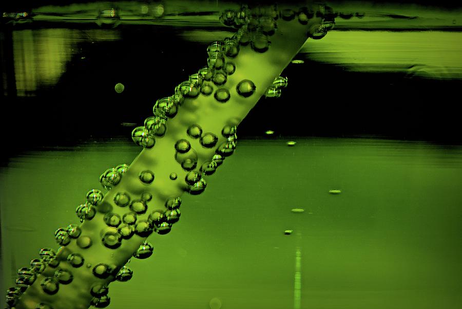 Abstraction in Green 2 Photograph by Cathy Mahnke
