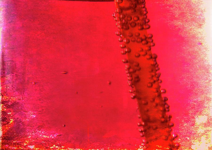 Abstraction in Red Photograph by Cathy Mahnke
