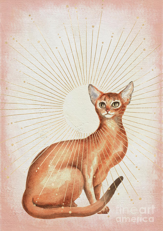 Abyssinian Cat Painting by Garden Of Delights