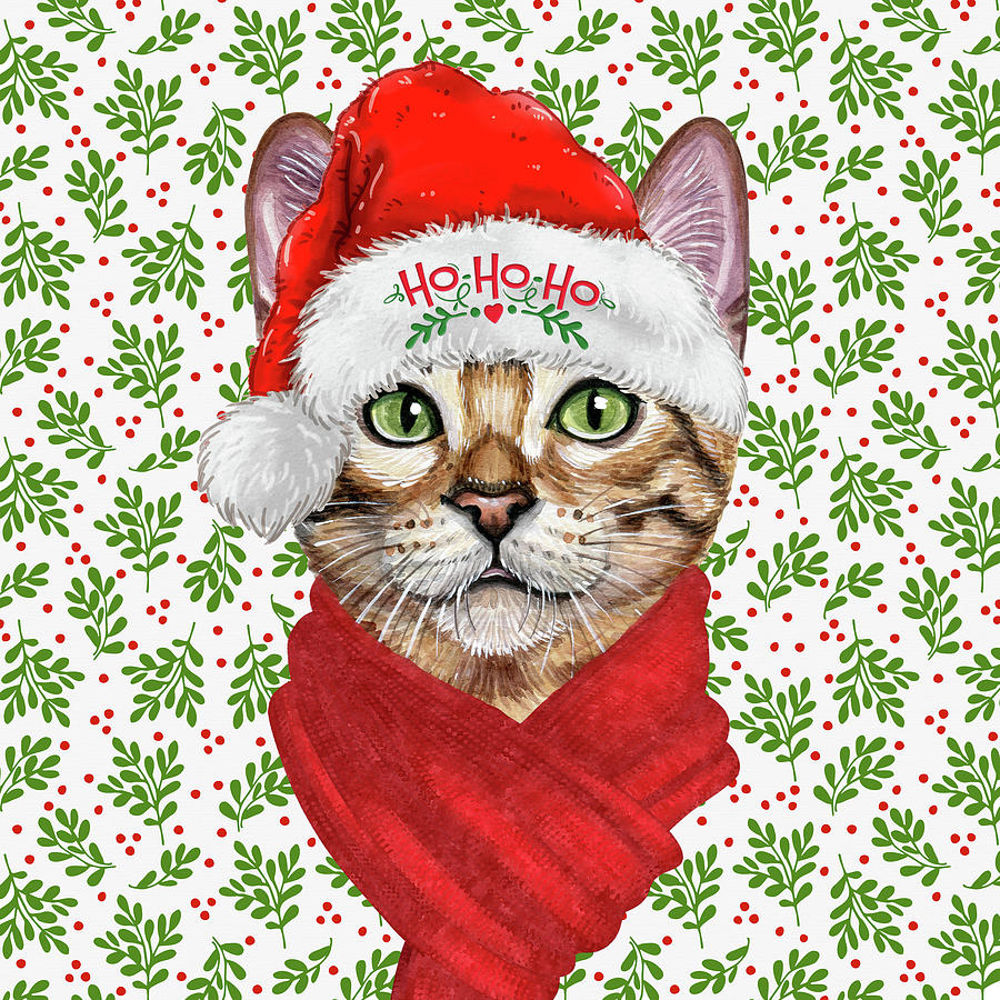 Abyssinian Christmas Cat Digital Art by Doreen Erhardt