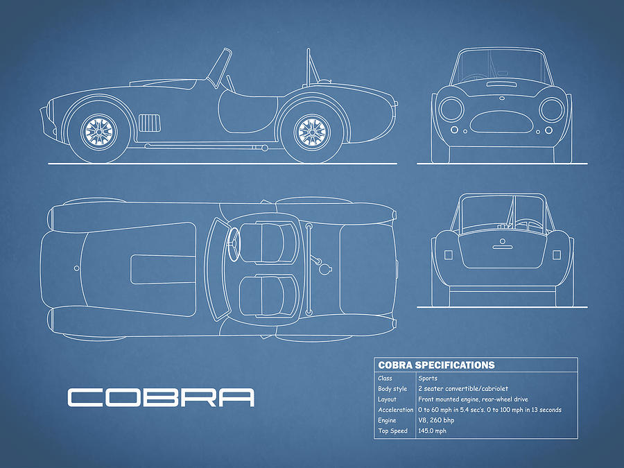 Cobra Photograph - AC Cobra Blueprint by Mark Rogan